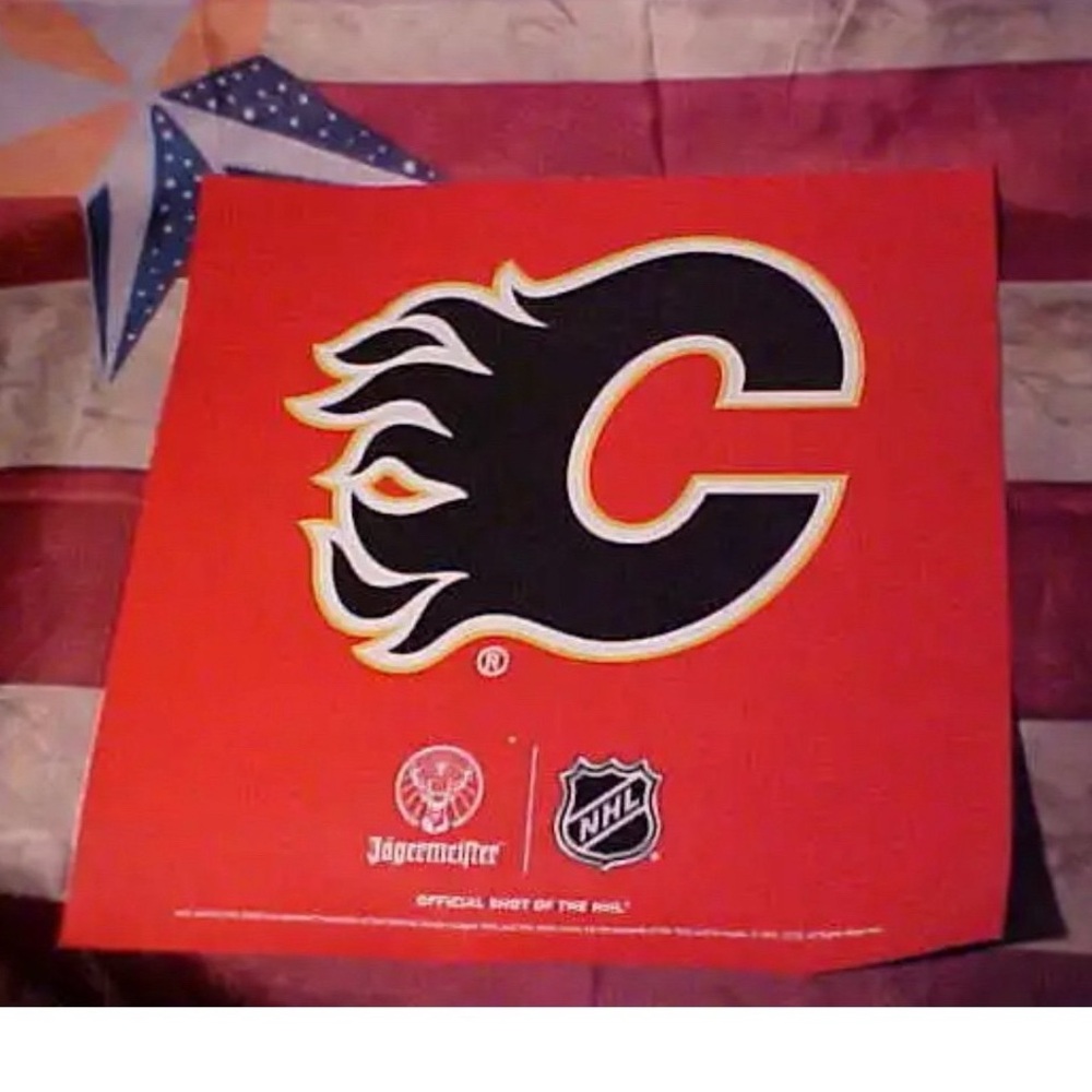 Calgary Flames JAGERMEISTER Official Shot of the NHL Lg Fridge Car Magnet NEW